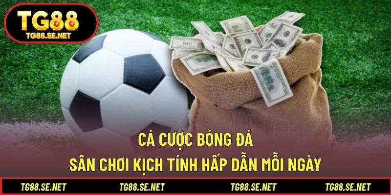 Cá Cược Bóng Đá – Sân Chơi Kịch Tính Hấp Dẫn Mỗi Ngày Cá cược bóng đá