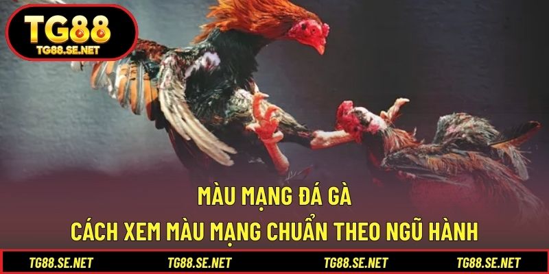 Màu Mạng Đá Gà – Cách Xem Màu Mạng Chuẩn Theo Ngũ Hành Màu mạng đá gà
