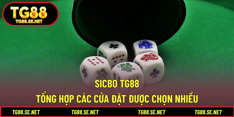 Sicbo TG88 - Tổng Hợp Các Cửa Đặt Được Chọn Nhiều Sicbo TG88